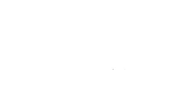 Institute For Design Innovation logo